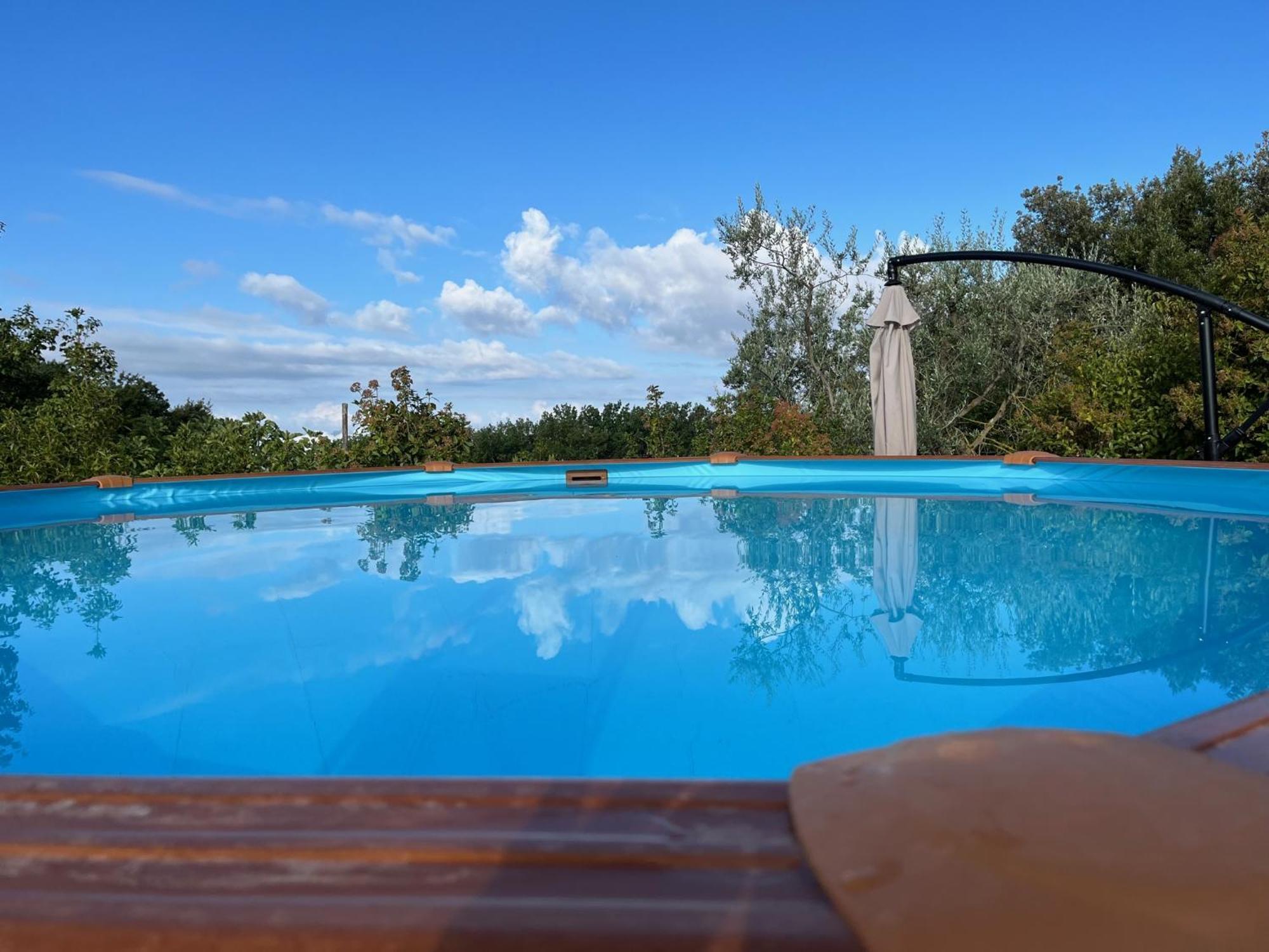 Agriturismo Podere Dell' Olmo 阿米里亚 外观 照片