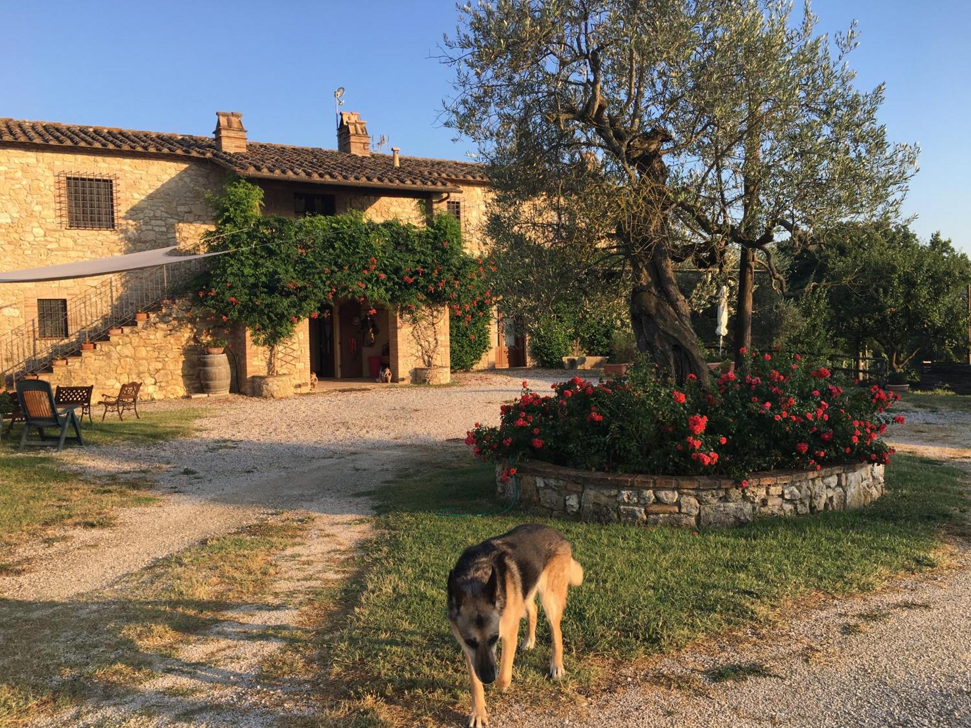 Agriturismo Podere Dell' Olmo 阿米里亚 外观 照片
