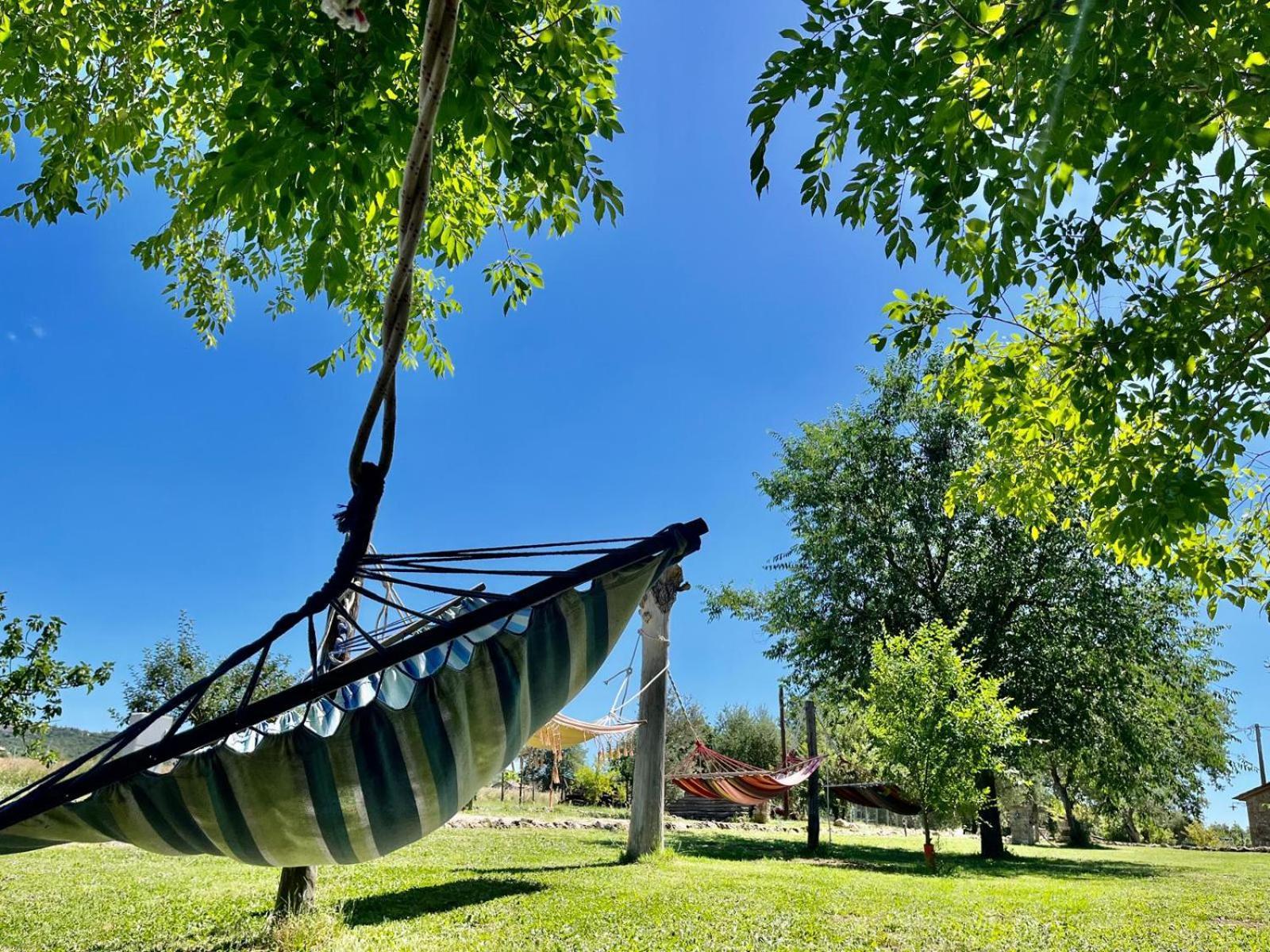 Agriturismo Podere Dell' Olmo 阿米里亚 外观 照片