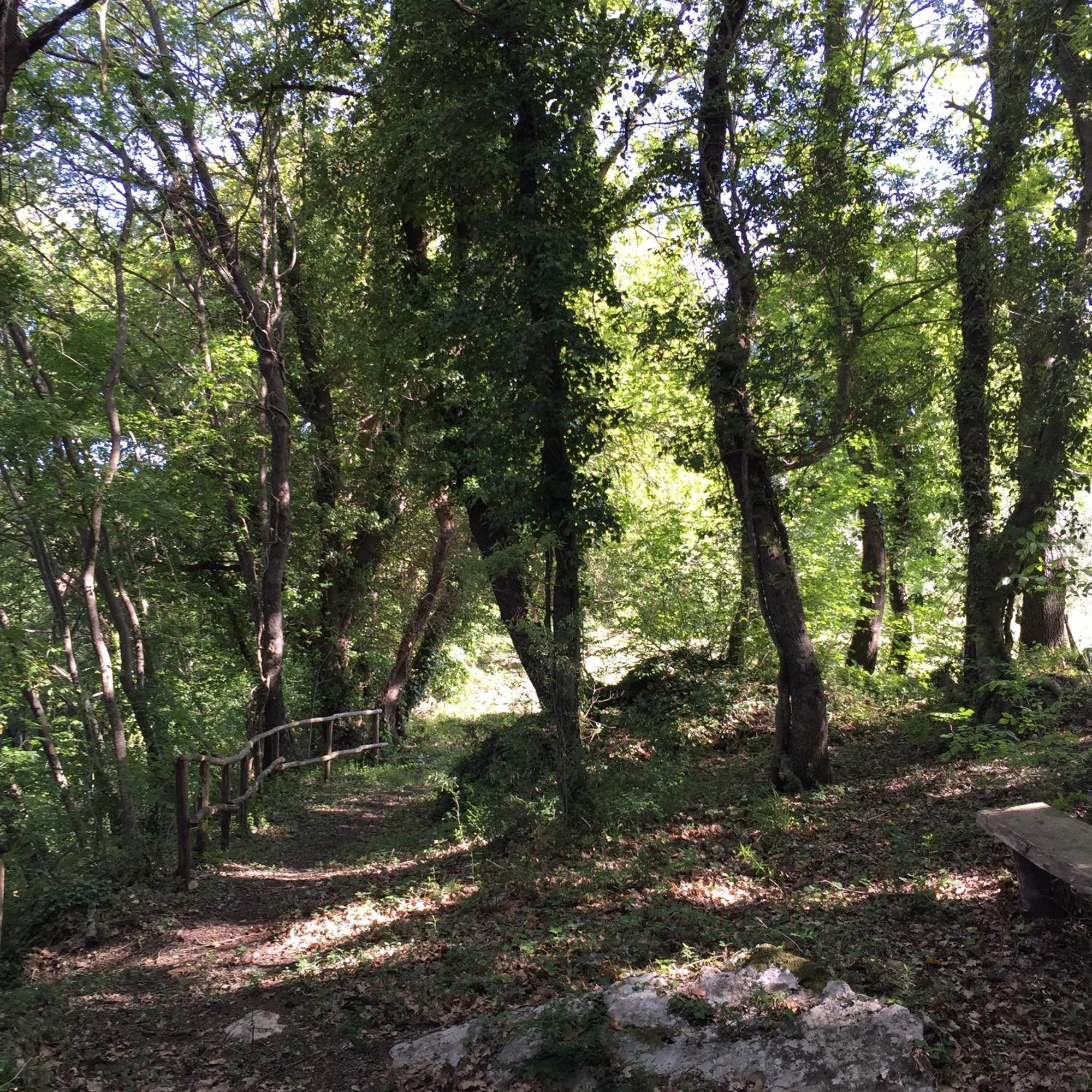Agriturismo Podere Dell' Olmo 阿米里亚 外观 照片