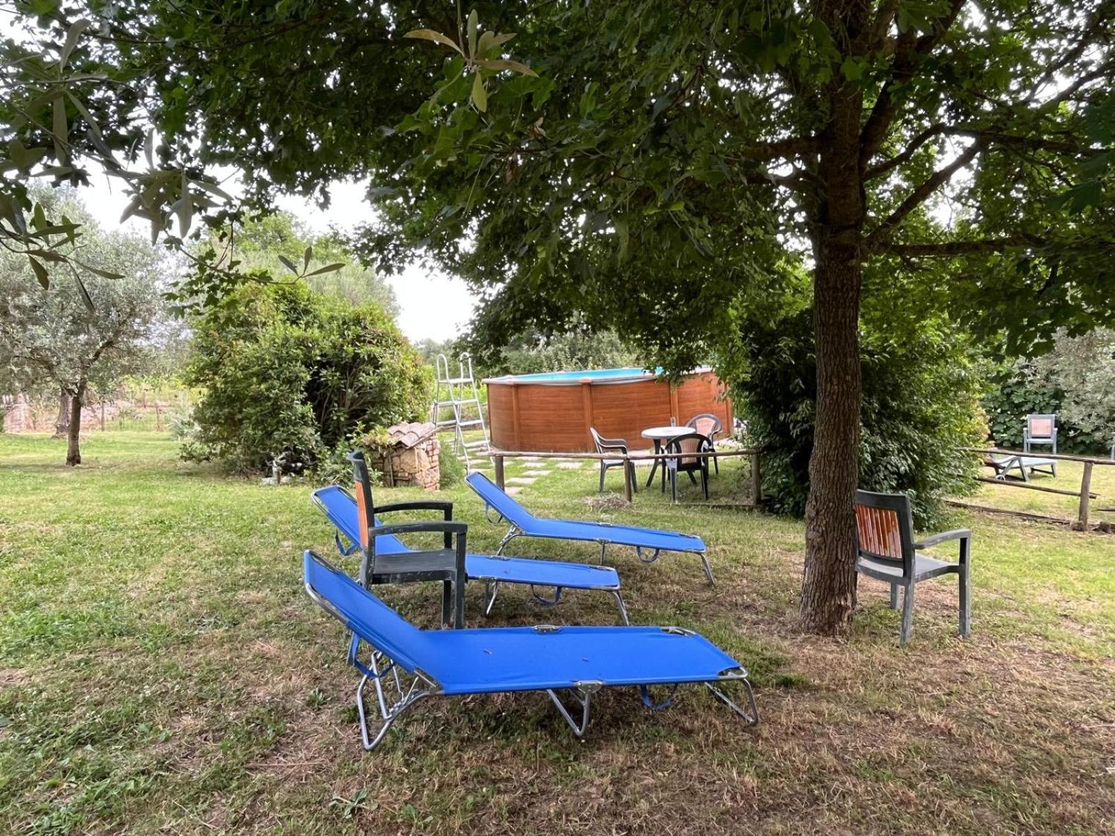 Agriturismo Podere Dell' Olmo 阿米里亚 外观 照片
