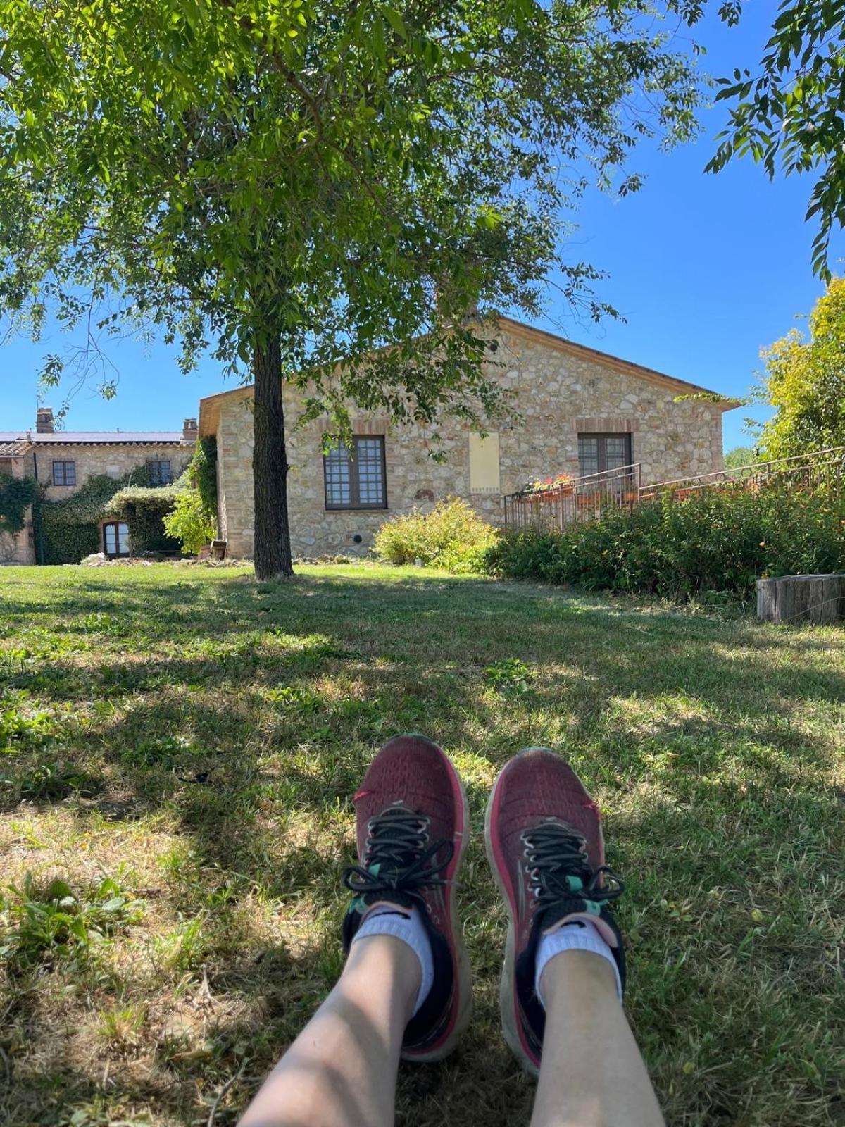 Agriturismo Podere Dell' Olmo 阿米里亚 外观 照片