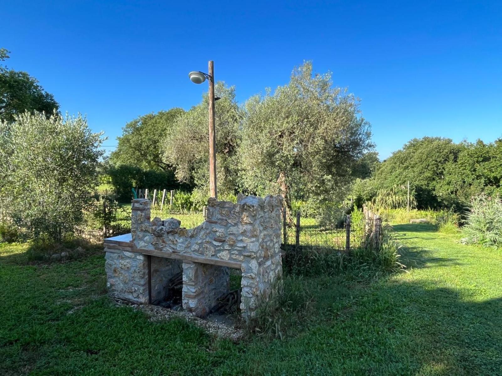 Agriturismo Podere Dell' Olmo 阿米里亚 外观 照片