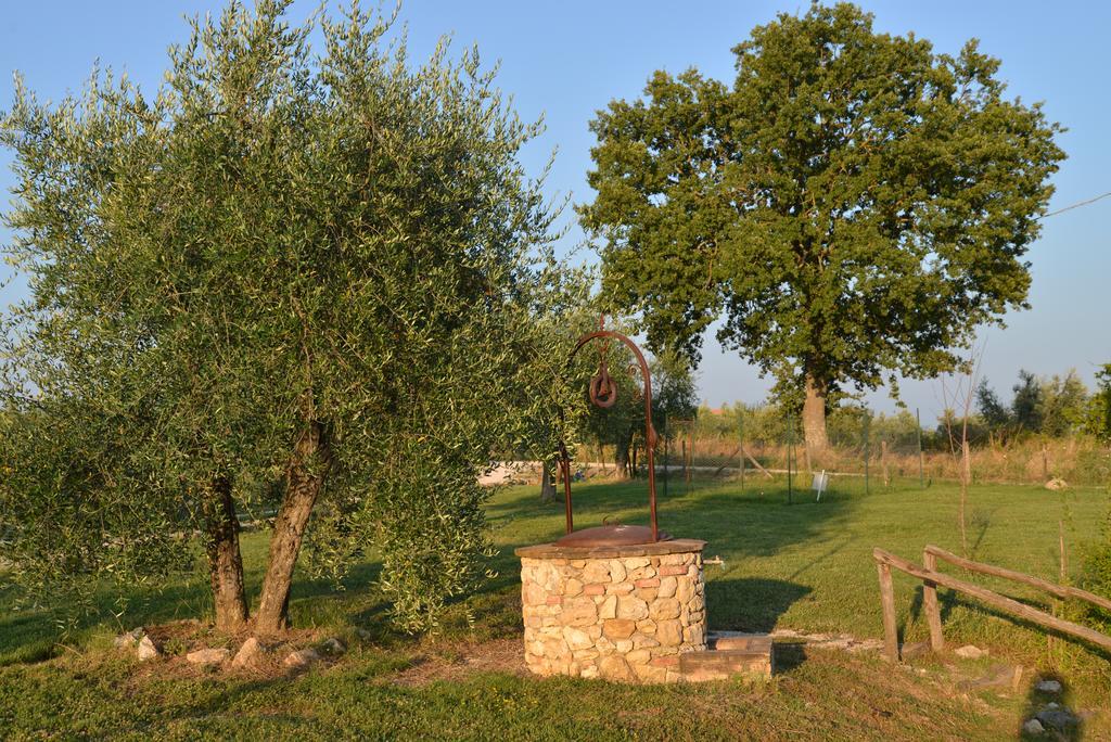 Agriturismo Podere Dell' Olmo 阿米里亚 外观 照片