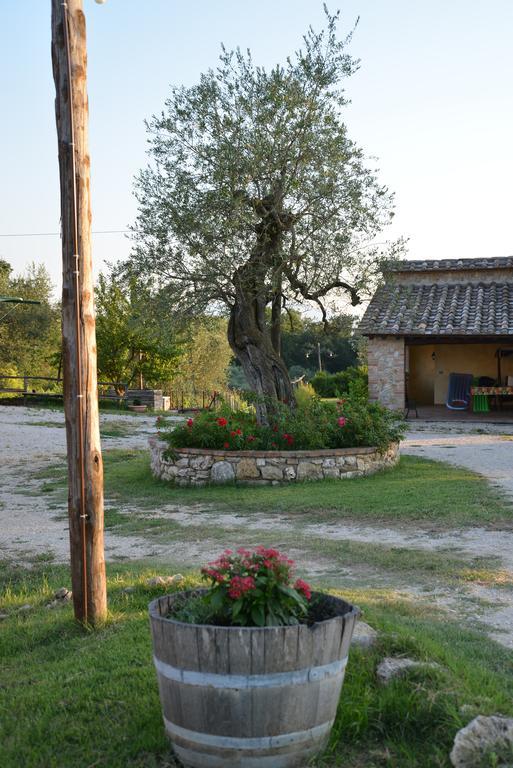 Agriturismo Podere Dell' Olmo 阿米里亚 外观 照片