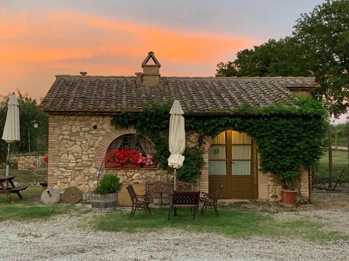 Agriturismo Podere Dell' Olmo 阿米里亚 外观 照片