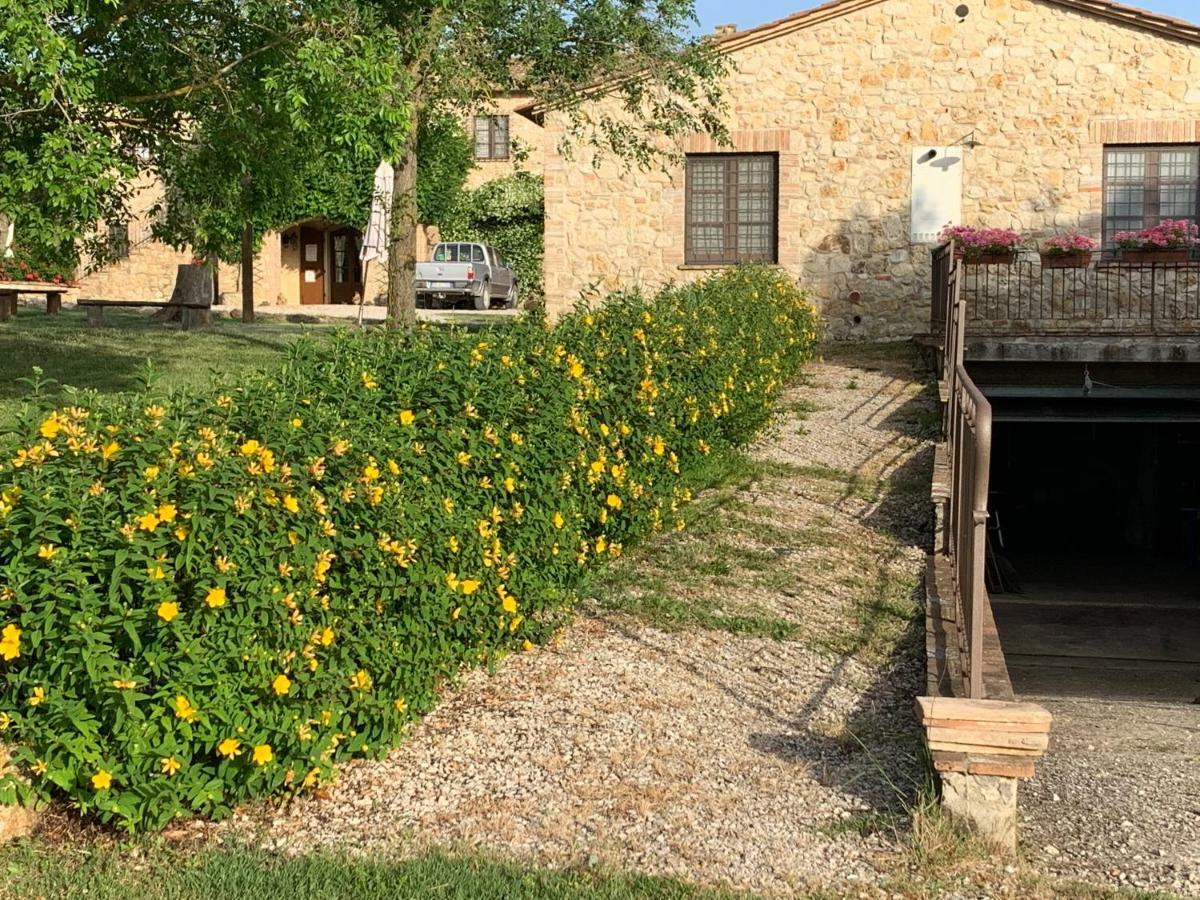Agriturismo Podere Dell' Olmo 阿米里亚 外观 照片