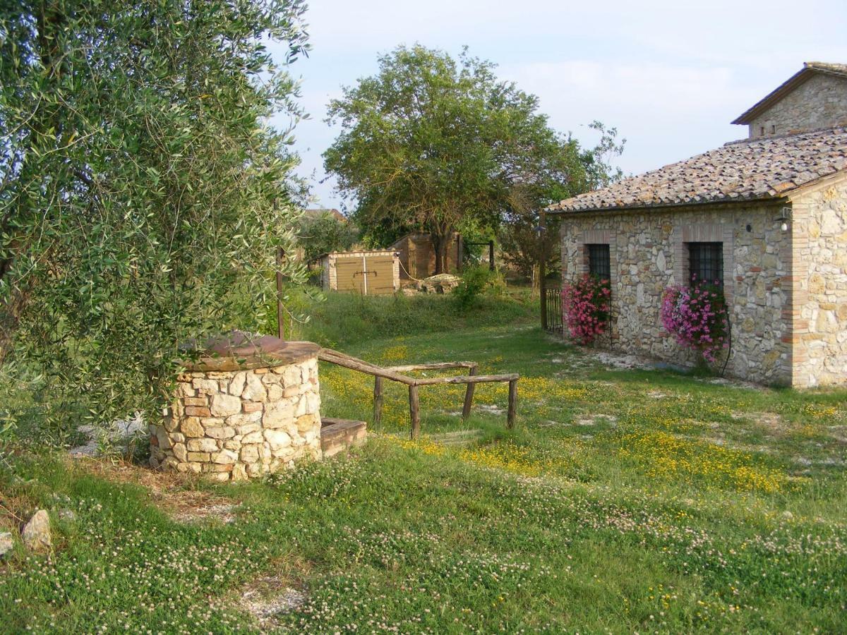 Agriturismo Podere Dell' Olmo 阿米里亚 外观 照片