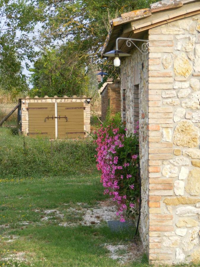 Agriturismo Podere Dell' Olmo 阿米里亚 外观 照片