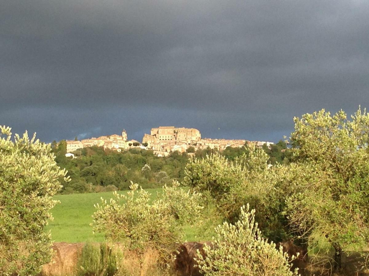 Agriturismo Podere Dell' Olmo 阿米里亚 外观 照片